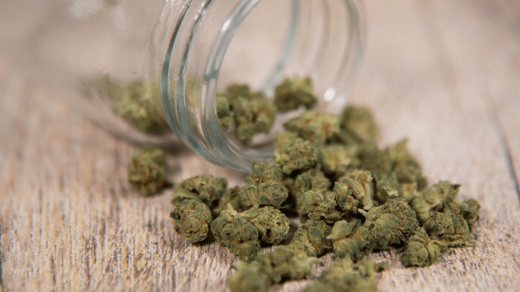 How Las Vegas Distributors Are Positioning Themselves for Federal Cannabis Reform